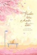 Trước Khi Anh Đến